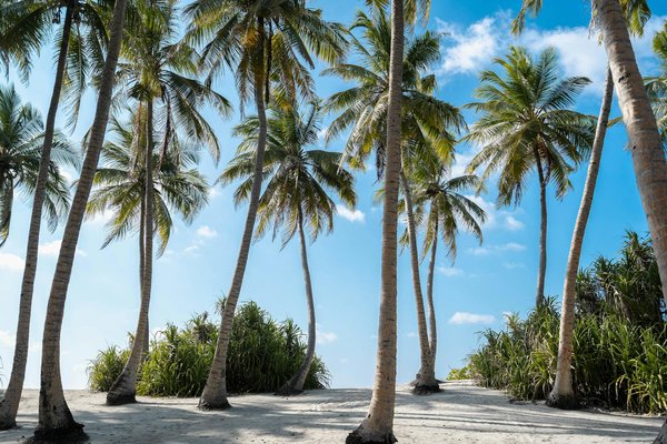 Aventure en famille en mer : conseils inédits pour une croisière inoubliable qui émerveillera petits et grands !